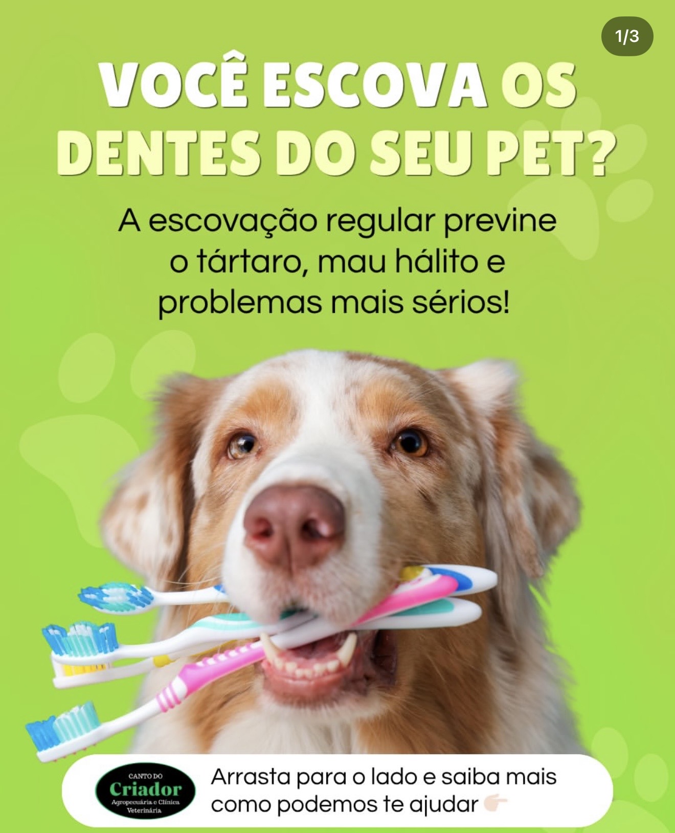 Post Diário Carrossel 