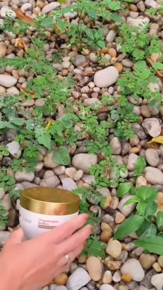 Kit Dove UV Repair & Glow