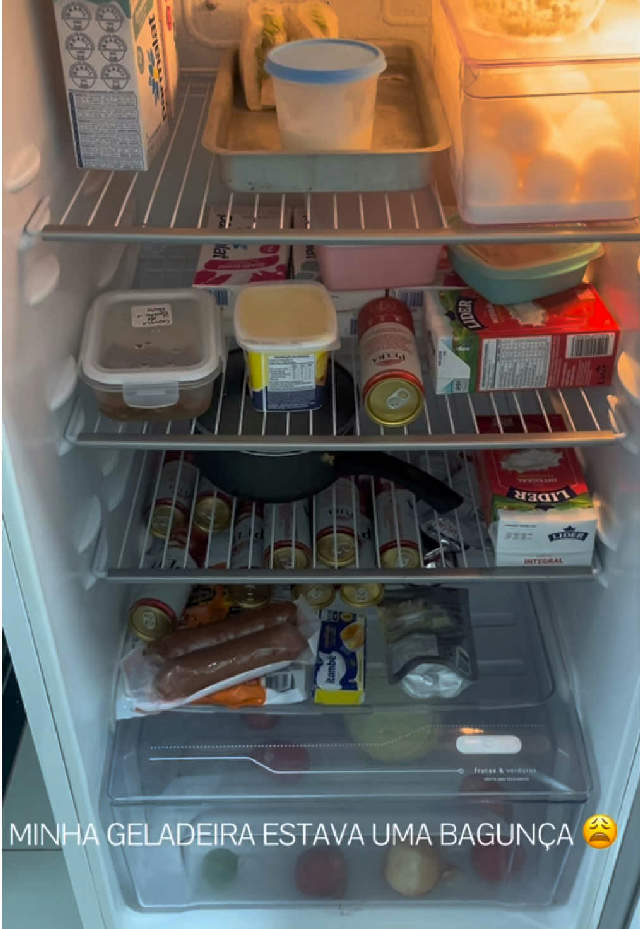 Organização da Geladeira — Demonstração