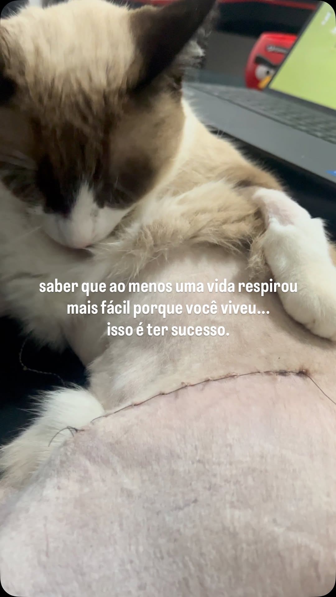 Petlovers